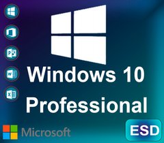 Microsoft Windows 10 Professional