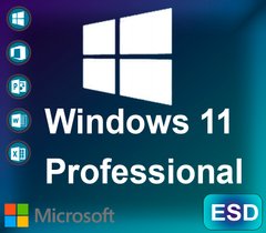 Microsoft Windows 11 Professional