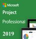 Microsoft Project 2019 Professional