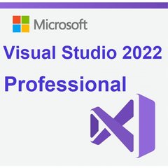 Visual Studio 2022 Professional